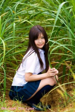 茶山春色