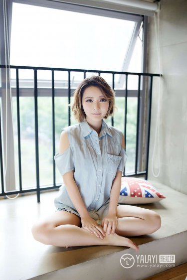 聚酯纤维是什么面料
